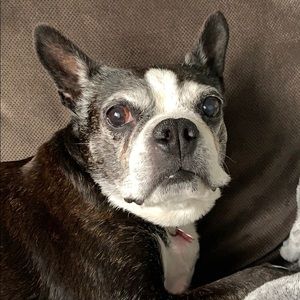 Meet your Posher, Denise